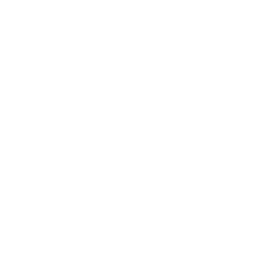 footer-logo-linkedin